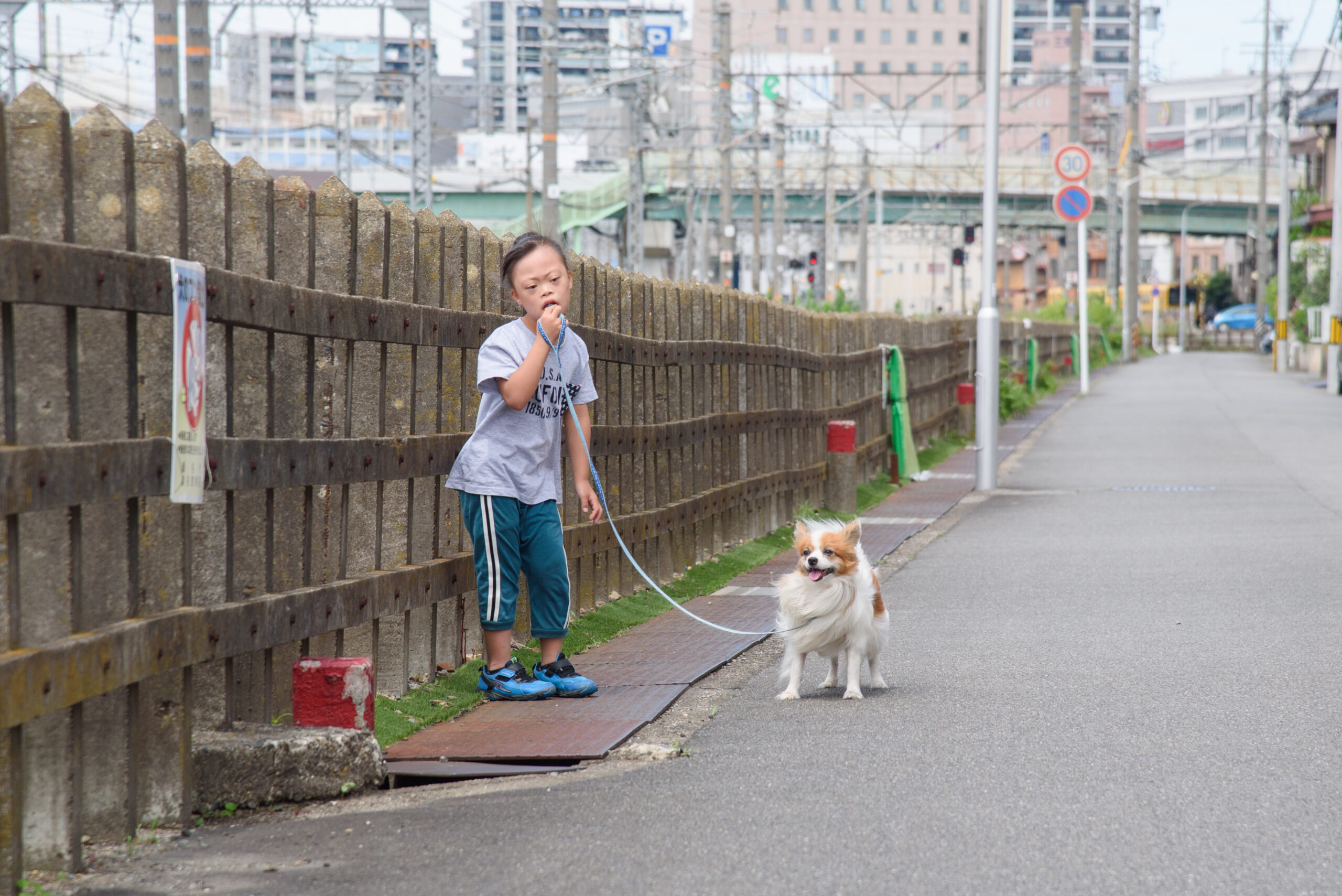 線路沿い　男の子と犬